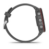 Garmin Forerunner 255 - 46 мм | Slate Gray