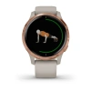 Garmin Venu - | Granite Blue with Silver Hardware